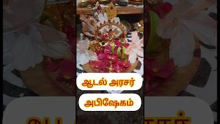 நடராஜர் சிவகாமி அம்பாள் அபிஷேகம் #சனிபிரதோஷம் #tamil #trending