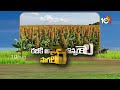 రబీకి అనువైన జొన్నరకాలు సాగులో మెళకువలు varieties of sorghum seeds for rabi season matti manishi