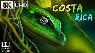 Dangerous Snake  🇨🇷 8K Video Ultra HD 60FPS Dolby Vision | Costa Rica 8K HDR | 8K TV