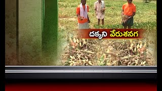 Jai Kisan AP - 9th Sep 2016 - చిత్తూరులో లక్ష హెక్టార్లలో దెబ్బతిన్న వేరుశనగ