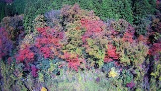 都道府県別ドローン空撮スポット紹介大分県編PART4