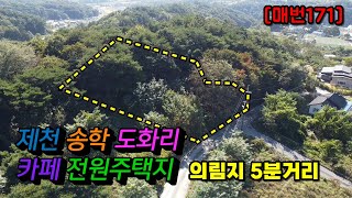 [매번171] 제천땅 카페 전원주택지 의림지 5분거리 고도300-400 남서향 토림