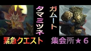 [MHX]集会所★６　緊急クエスト！タマミツネ、ガムート[狩猟笛]＠１９