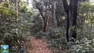 Exploring the eastern city forest 🚶🏻‍♂️ Nature walk