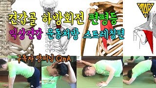 견갑골 하방회전 익상견갑 편평등 스트레칭 /견갑거근 소흉근 능형근 하부승모근 스트레칭