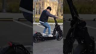 Electric Scooter WEPED Sonic Burnout