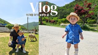 [육아 브이로그] 착장은 목장소년인데 양🐑이 무서운 15개월 아기 | 두글자 단어🚊는 다 따라하는 일상 | 찐이야에 꽂혀 춤신춤왕 된 아기