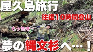 夢の縄文杉を目指して10時間の登山！運動不足の彼女がガイド無しで挑戦してみた結果…【屋久島旅行#1】