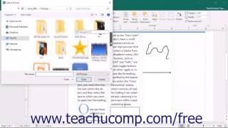 Publisher 2016 Tutorial Formatting Shapes Microsoft Training