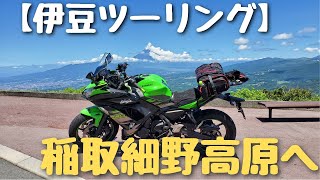 【伊豆ツーリング】稲取細野高原のワインディングで迷子になる/ゆるキャン聖地巡礼編