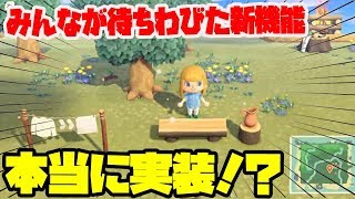 【朗報】あつ森で驚きの奇跡の機能が実装！？みんな待ちわびた神機能が凄い！【あつまれどうぶつの森】【とび森】