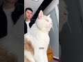 小猫双标起来能有多双标？ 猫咪 可爱 萌宠 cat catlover catlife catlovers