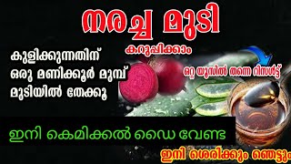 ഡൈ ചെയ്യാതെ നരച്ച മുടി കറുപ്പിക്കാൻഒരു ദിവസം മതി /ഒറ്റ യൂസി റിസൾട്ട്‌ കിട്ടും 💯💯/hair dye