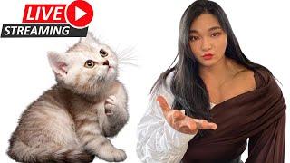 Eunhee Kang Live With Cat || fbb muscles