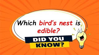 General knowledge|GK for kids|GK about Birds|General knowledge Question and Answers