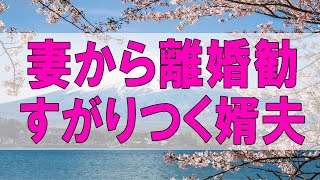 テレフォン人生相談 🌞  妻から離婚勧告!すがりつく婿夫!幸せはそこにあるのか-テレフォン人生相談、悩み