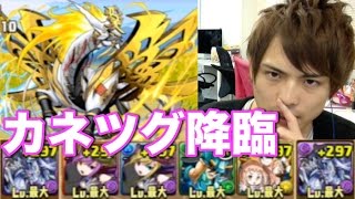 パズドラ【カネツグ降臨！】超地獄級　ゼローグPT（解説攻略）