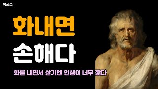 세네카의 화에 대한 성찰