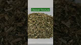 Cleavers Tincture: Benefits \u0026 Uses