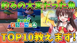 【あつ森】金のつりざおGETした島民代表(笑)が教える「釣るの大変だった魚TOP10」！あつまれどうぶつの森＃06【ゆっくり実況】