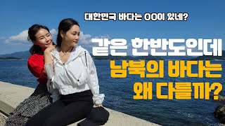 놀라울정도로 아름다운 바다 그리고 너무나도 다른 한반도의 바다