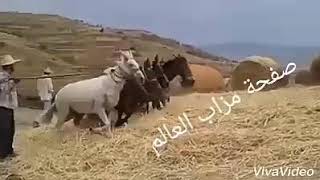 شاهد خيرات المغرب