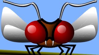 Inkscape Tutorial - Insect