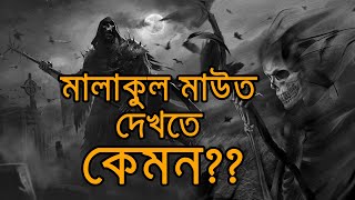 মালাকুল মাউত দেখতে কেমন? রুহ কবজ কি ঘটে ?