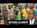 Drama At Zanu PF HQ Chiwenga Forces Mnangagwa To Abandon His Third Term Project 