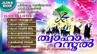 Thwaha Rasool | ത്വാഹാ റസൂൽ | Islamic Devotional Songs | Madh Songs Malayalam | Mappila Pattukal