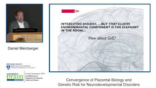 Placenta Biology & Genetic Risk for Neurodevelopmental Disorders | Brigham and Women's Hospital