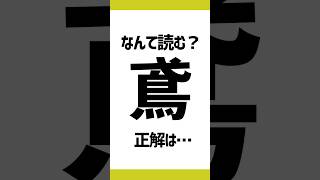 鳥の漢字クイズ「鳶」この鳥は何と読むでしょう？#shorts