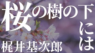 【朗読】桜の樹の下には / 梶井基次郎【睡眠導入】