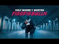 holy modee Y morten - figgdiebulln (prod. by arianoknows x morten) (Official Video)