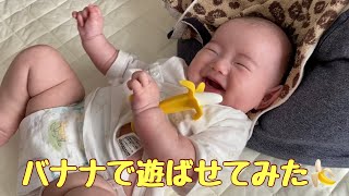 【育児vlog】バナナのおもちゃ【生後3ヶ月】