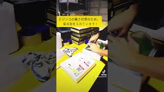 めだかの箱庭　出荷風景 #shorts