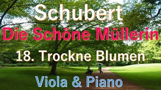 Schubert - Die Schöne Müllerin  18.Trockne Blumen (Viola\u0026Piano)   シューベルト　歌曲集「美しい水車小屋の娘」18.枯れた花