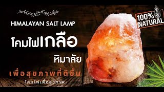 โคมไฟเกลือหิมาลัย Himalayan Salt Lamp โคมไฟแก้ภูมิแพ้ หินเกลือหิมาลัย