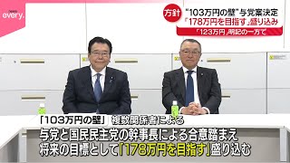 【“103万円の壁”】政府・与党「123万円」明記の方針「178万円目指す」盛り込み  宮沢税調会長「さらに協議進めていきたい」