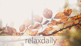 relaxdaily - N°013 [official video - Season 1 Album Version]