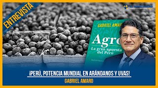 ¡Perú, potencia mundial en arándanos y uvas!