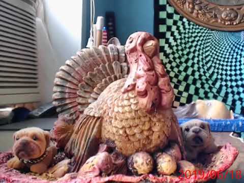 Las Trovas Del Paisa Payada De Martin Fierro De La Serie De Rtve