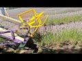 Our Newest Self Propelled Lavender Harvester