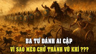 Trận chiến giữa sa mạc và sông Nile – khi châu Á tiến vào châu Phi