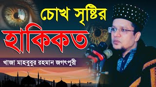 চোখ সৃষ্টির হাকিকত | আল্লামা খাজা মাহবুবুর রহমান জগৎপুরী || Mridha Media Waz | চোখ সৃষ্টির তথ্য