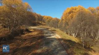 A magic place! Aerial footage shows stunning beauty of China's Qilian Mountain