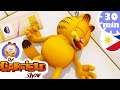 😱 Garfield is in danger ! 😱 - Buong Episode HD