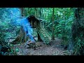 Full video 1 year Solo Bushcraft. Living and bushwalking in the rainforest,  Bushcaft Survive.