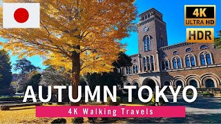 4K Japan Walk 🇯🇵 Autumn Tokyo Hitotsubashi University to Central Tachikawa Walking Tour 2024