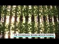 Vertical Farming to Prevent Food Loss in a Disaster